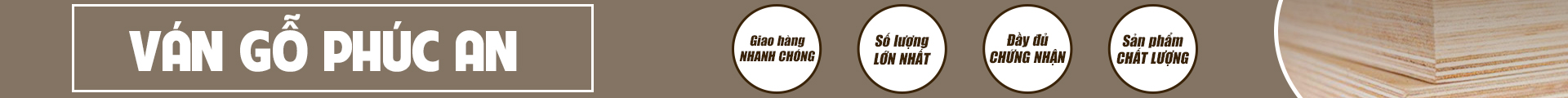 GỖ VÁN ÉP